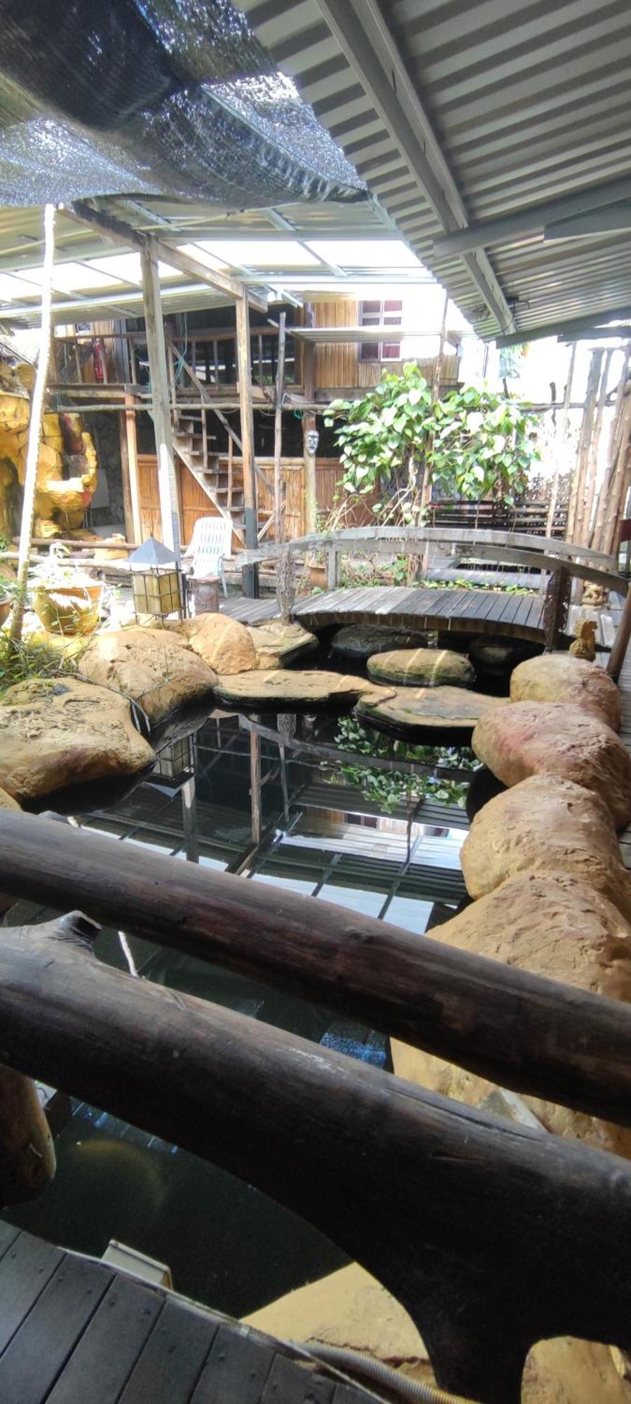 The Secret Sanctuary Boutique Cottage كوشنج المظهر الخارجي الصورة